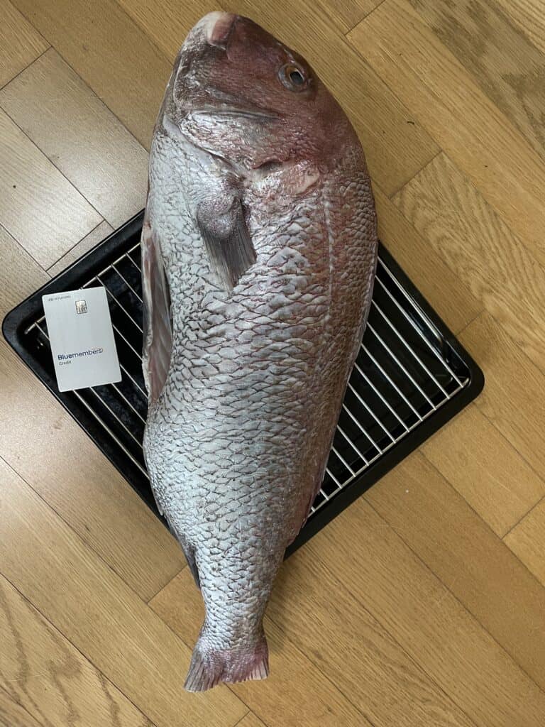 70cm 참돔을 굽기에는 너무 작은 오븐
