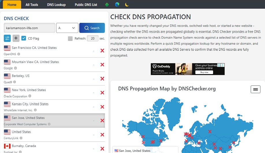 DNS CHECK, QUIC.cloud 설정 확인