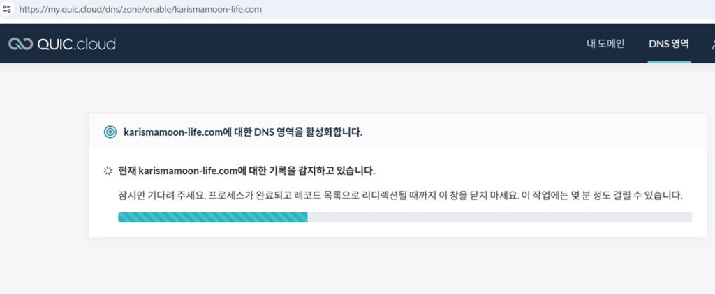 QUIC.cloud DNS 영역 활성화 진행중