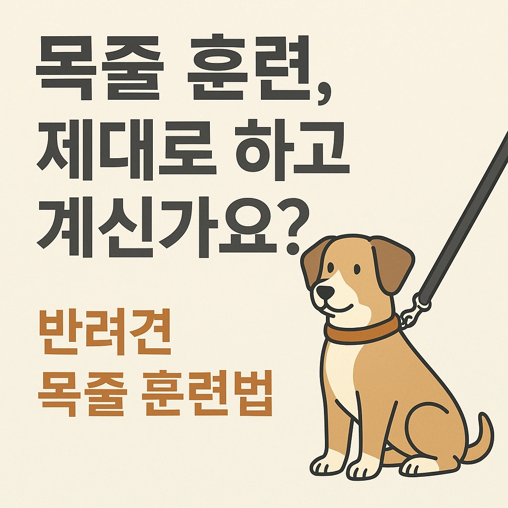 반려견 목줄 훈련법 (Dog Leash Training)