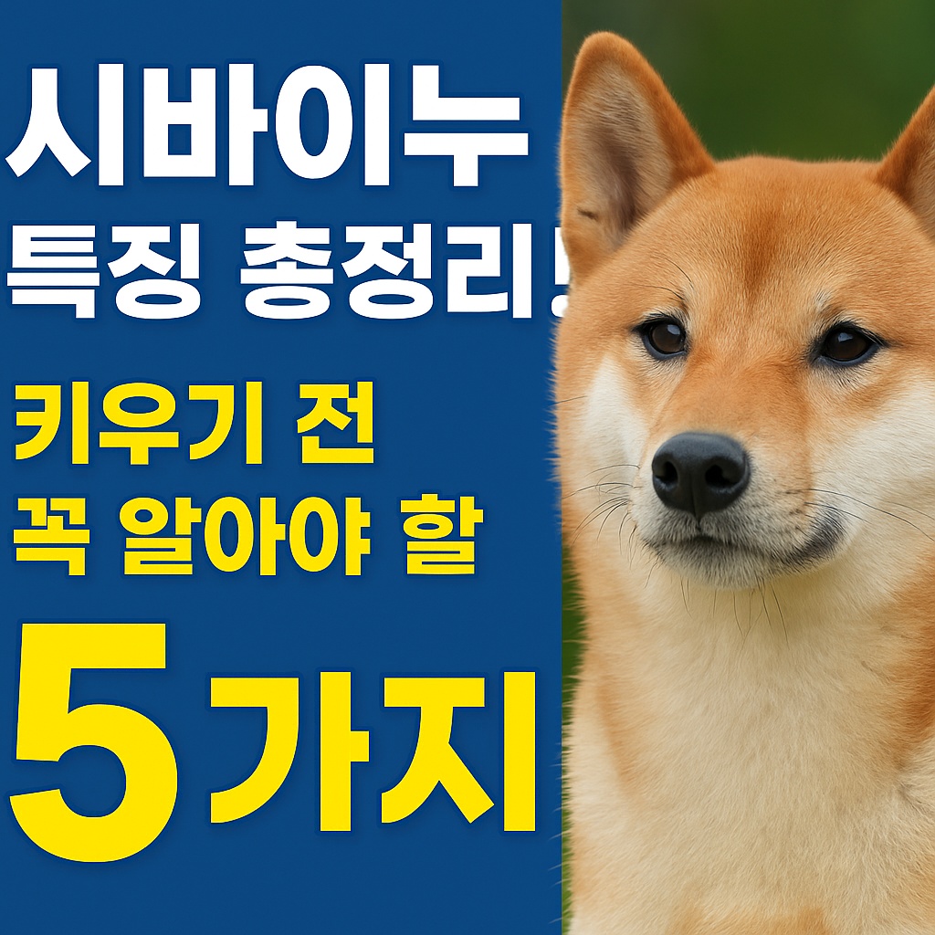 시바이누 특징 총정리