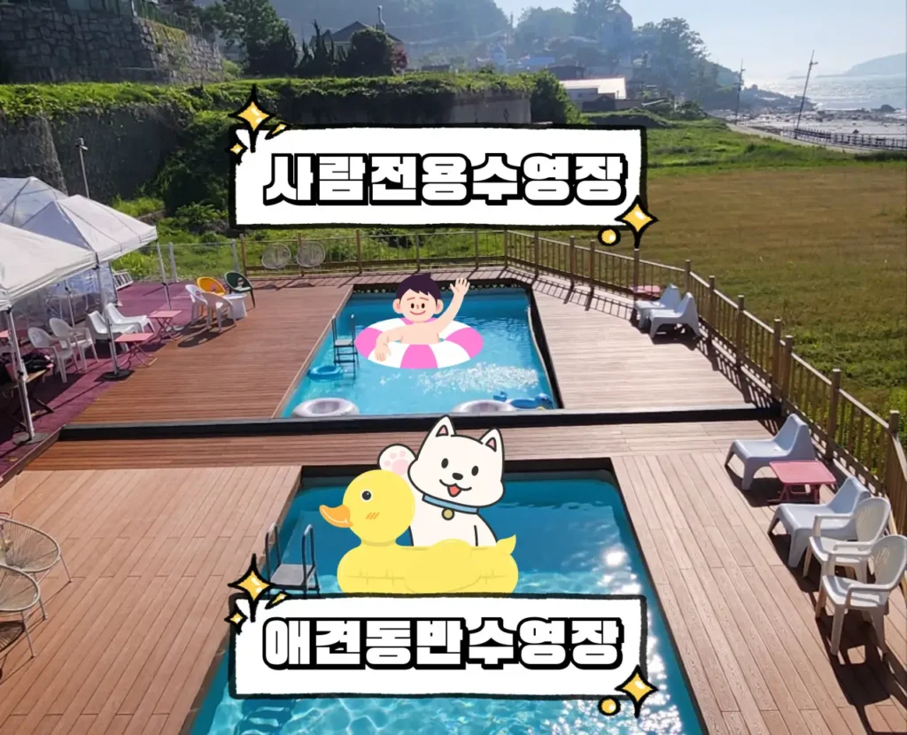 반려견 동반 펜션 뷰나인 수영장