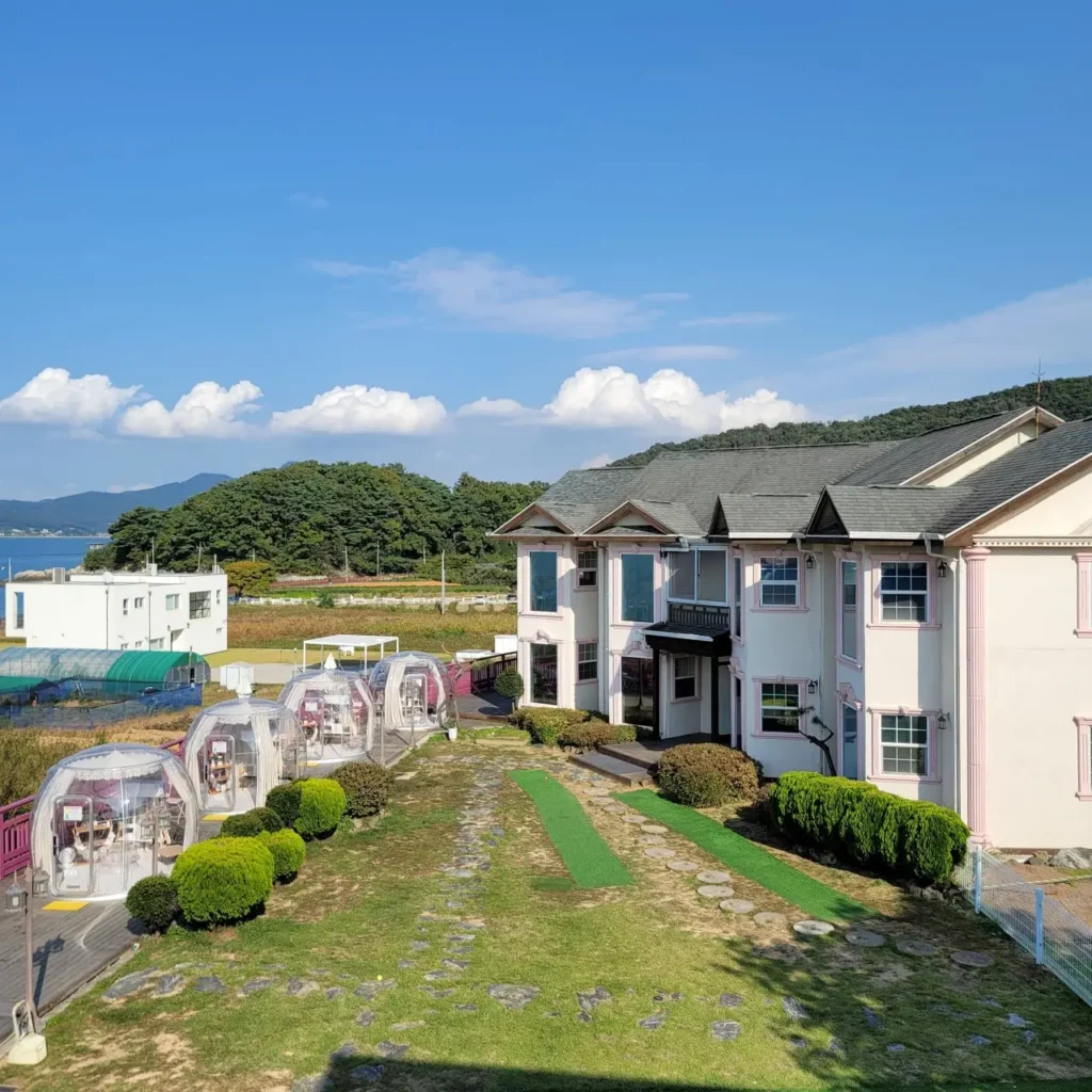 반려견 동반 펜션 뷰나인