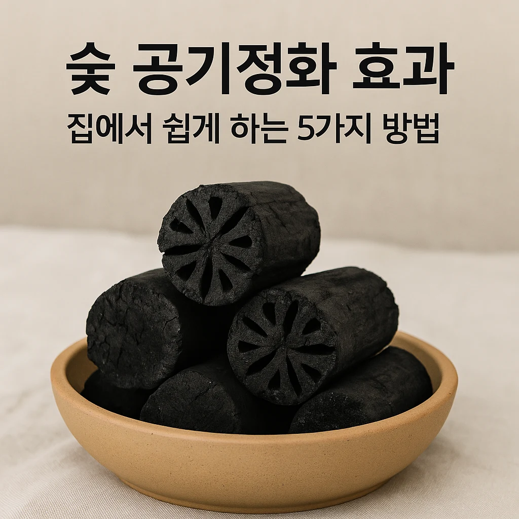 숯 공기정화 효과