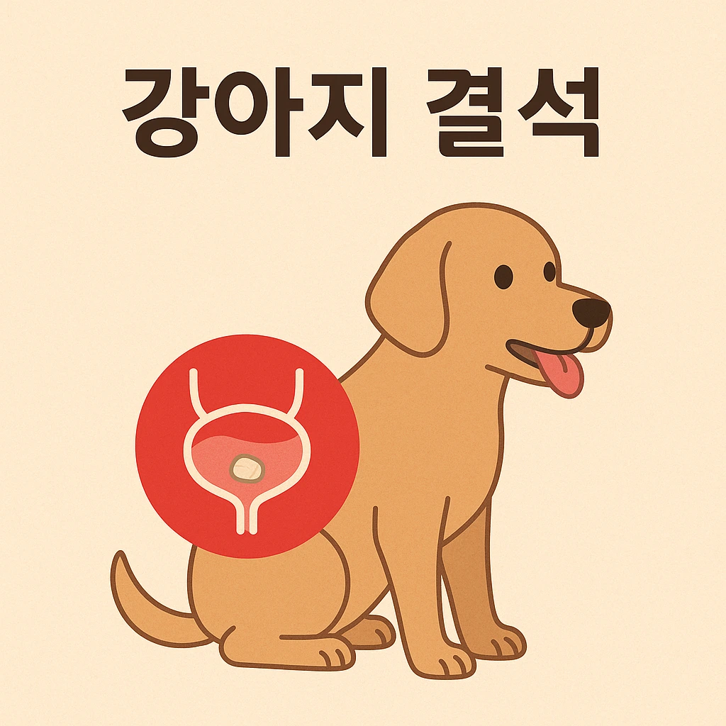 강아지 결석(Dog urinary stones)