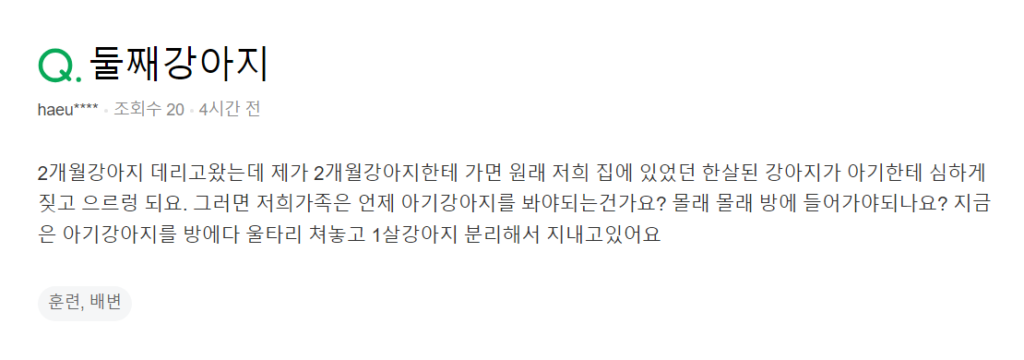 지식iN에 올라온 질문