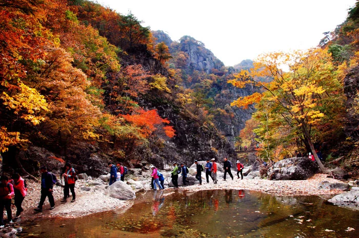 주왕산 절골계곡 가을 단풍 여행