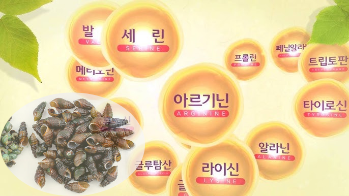 다슬기 영양 성분