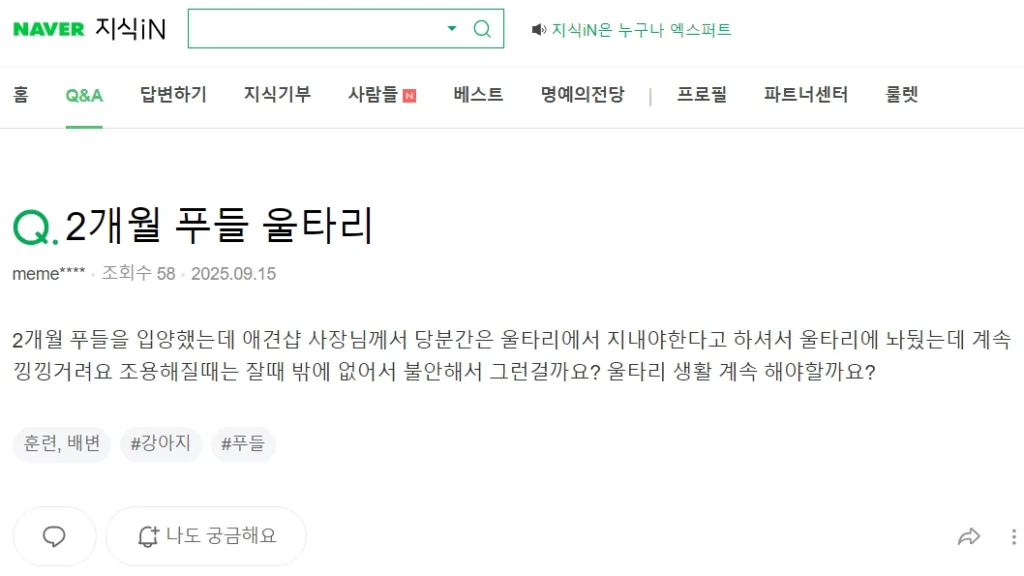 강아지 울타리 교육 질문