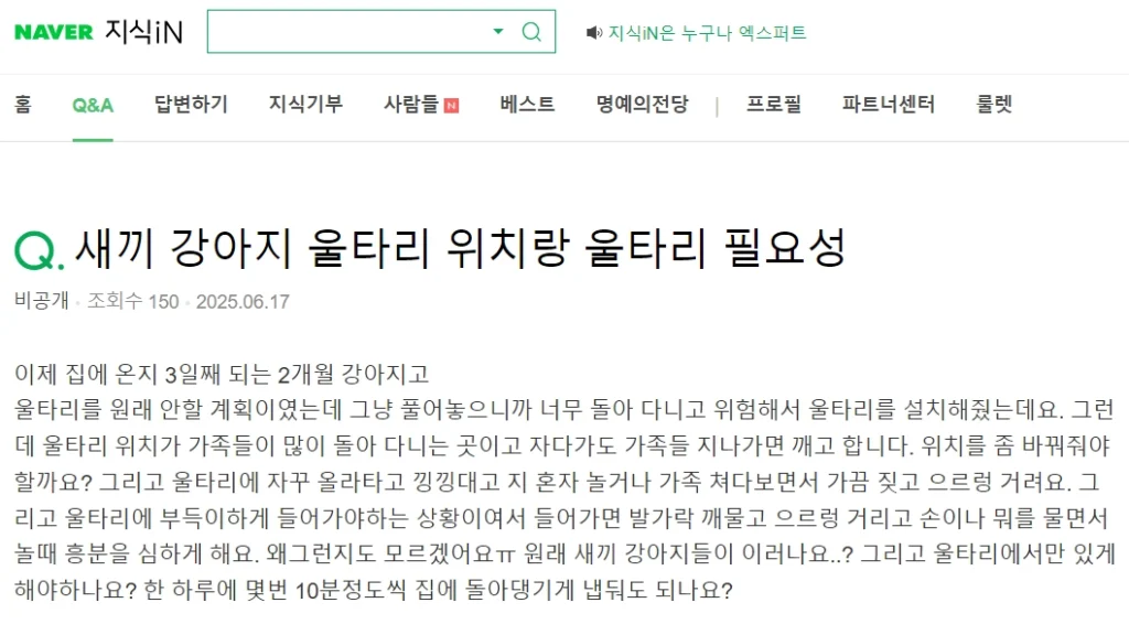 강아지 울타리 교육 질문
