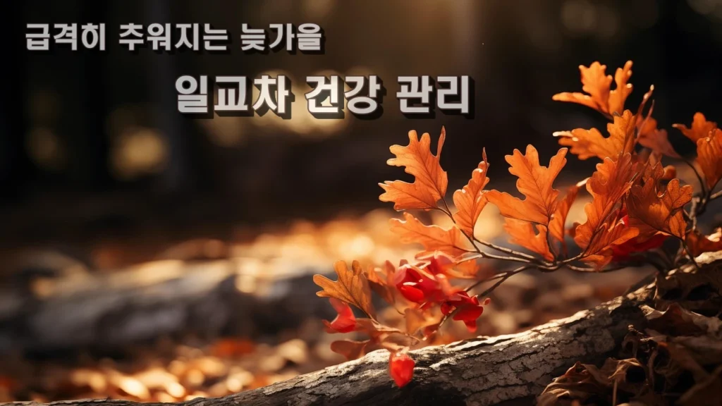 일교차 건강 관리