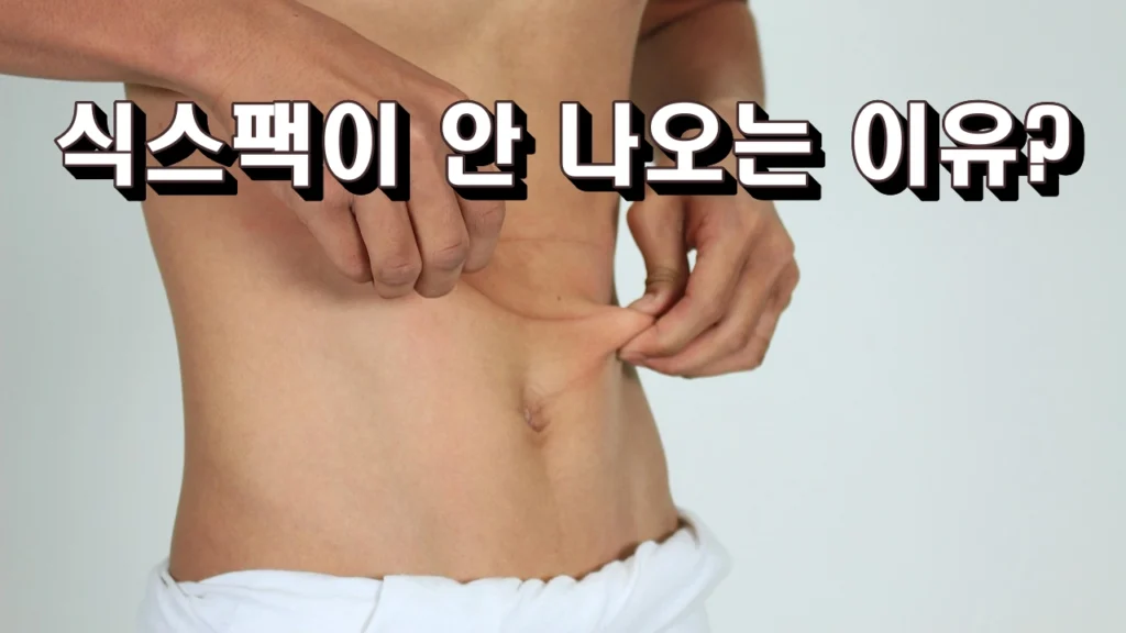 식스팩이 안 나오는 이유?