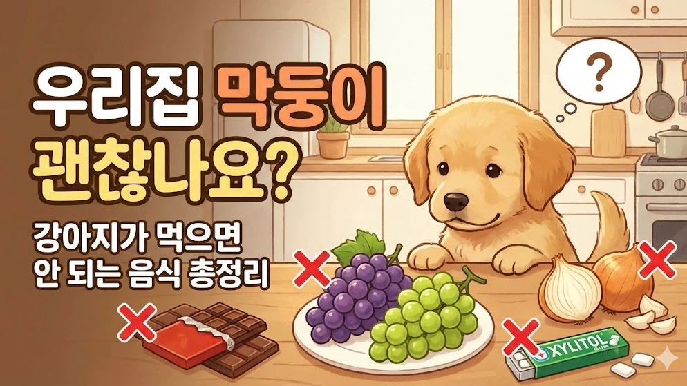 강아지가 먹으면 안되는 음식