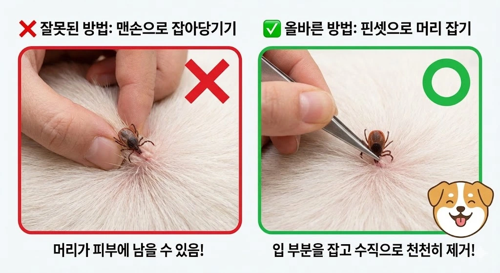 진드기 제거 방법